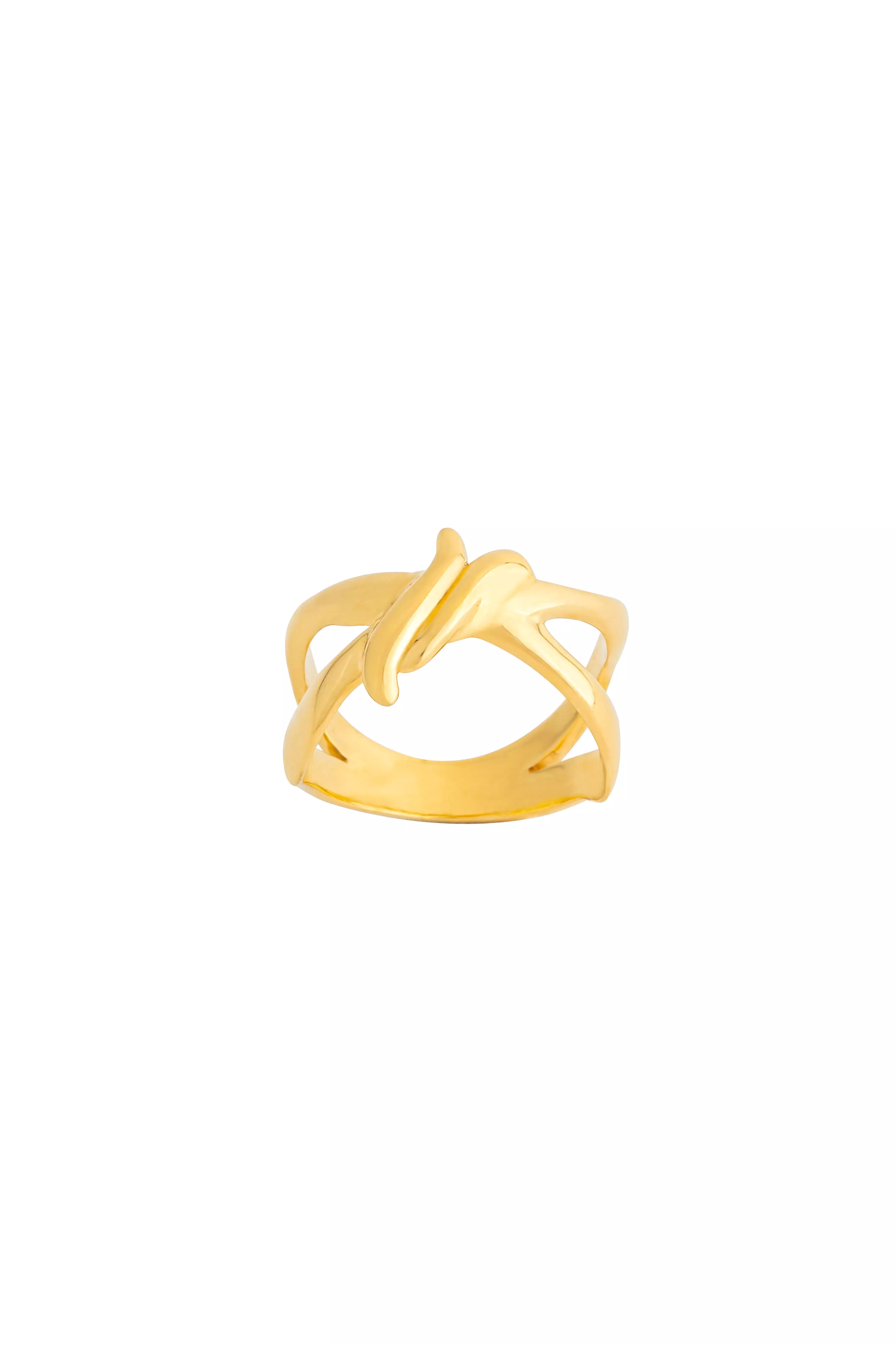 Agastya Twigs Ring